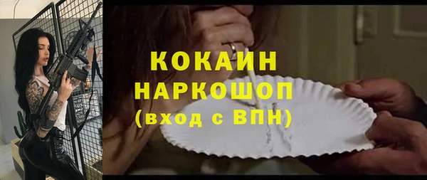 стаф Зерноград