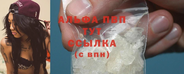 стаф Зерноград