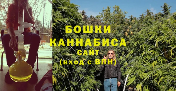 стаф Зерноград