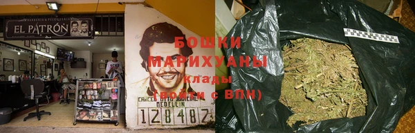 стаф Зерноград