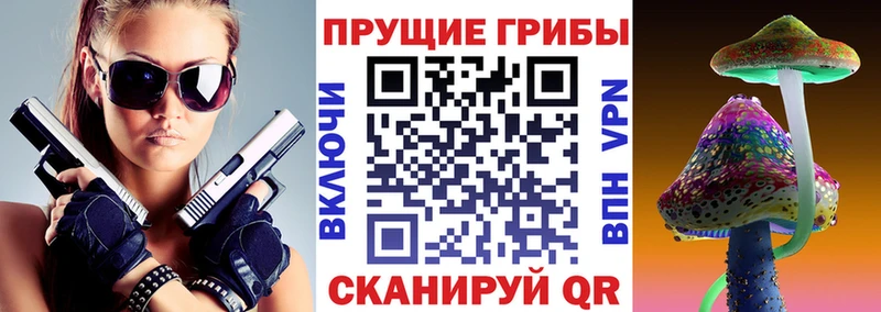 Галлюциногенные грибы мицелий Борзя