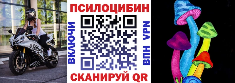 Псилоцибиновые грибы Psilocybe  Купить закладки  Борзя 