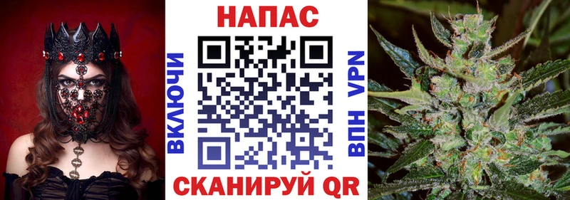 Конопля конопля Борзя